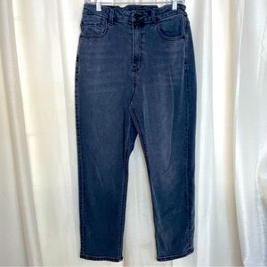 American Eagle Stretch Curvy Mom Jean